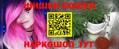 СК Лесосибирск