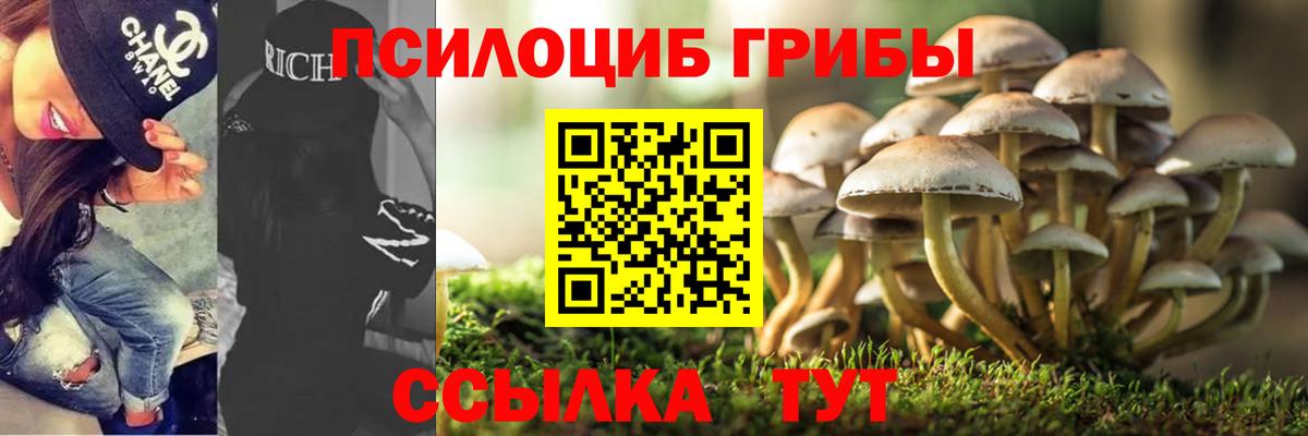 Галлюциногенные грибы мухоморы  Вход с VPN  Янаул 