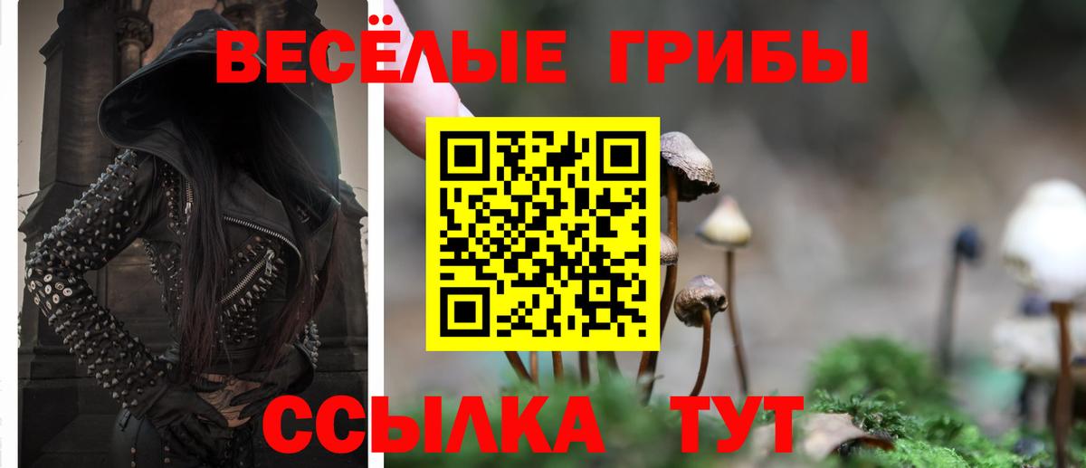Галлюциногенные грибы Cubensis Янаул